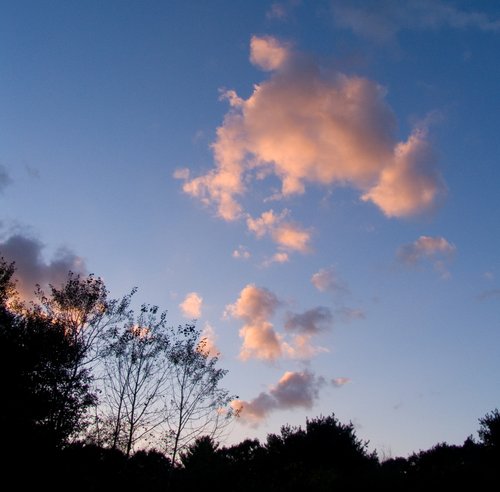 Focus on Color (Sunset)