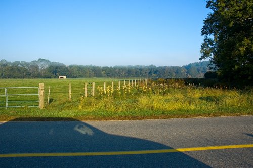 Parked Car and Meadow
