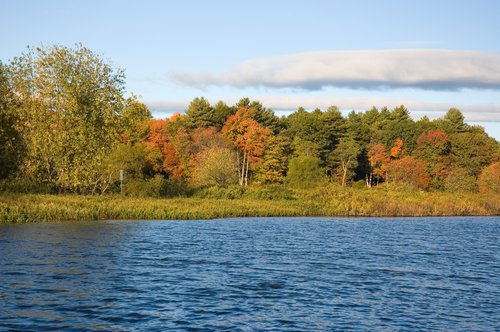 DSC_4024_ACR