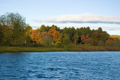 DSC_4025_ACR