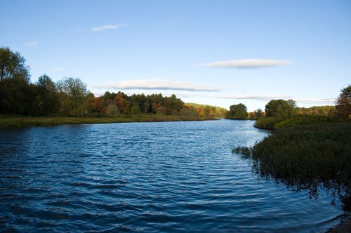 DSC_4026_ACR