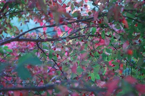 DSC_4047