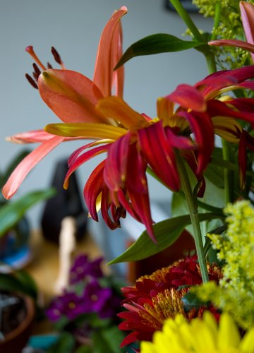 Focus on Color (Adobe ACR processed)