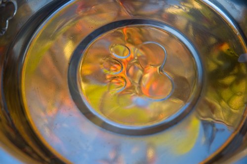 Bittersweet reflections