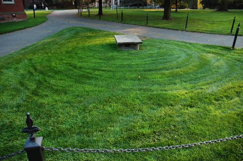 Perfect Grass