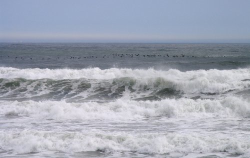 Low flying migration