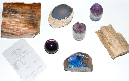 Special Things (Petrified Wood)