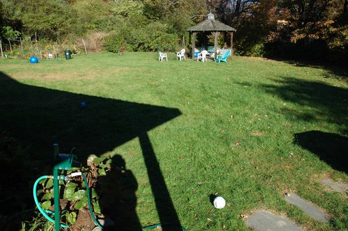 Backyard Shadows