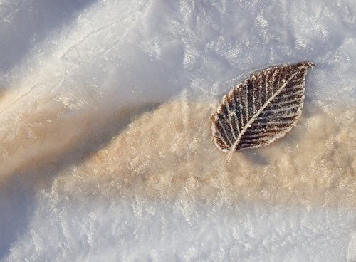 Frost on Construction Materials (Detail)