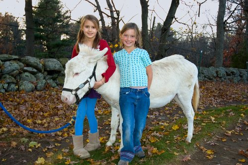 Opal the Pony