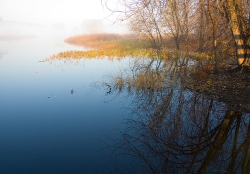 Sudbury River Mist (Detail)
