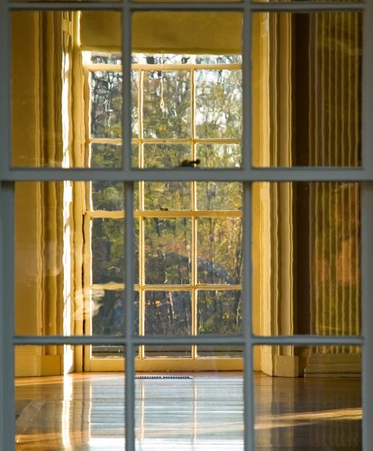 Window views