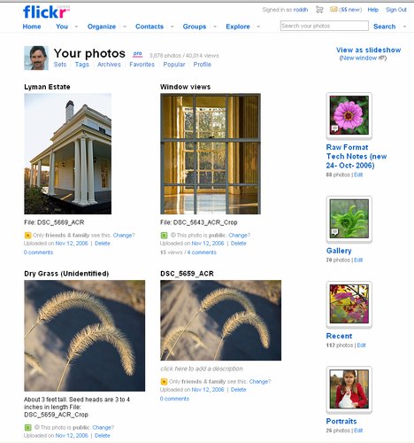 Thanks for 1 year and  40,000 views on Flickr