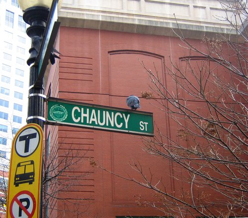 Chauncy Street with Bird