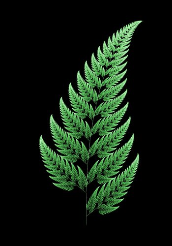 Fractal Fern (Chaos Game Explanation)