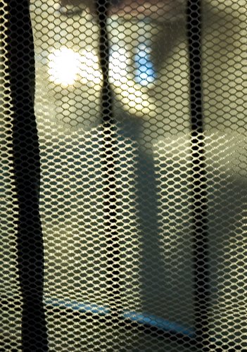 Mesh(ed) Shadows