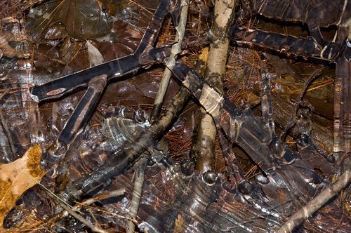 Thin Ice (translucent lighting)