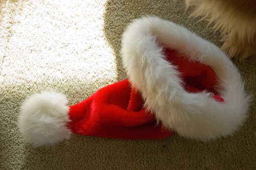 Santa's Hat