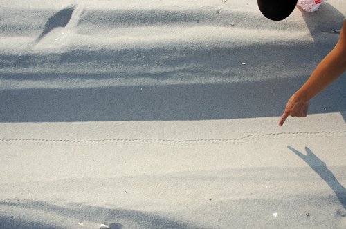 Track in the Sand