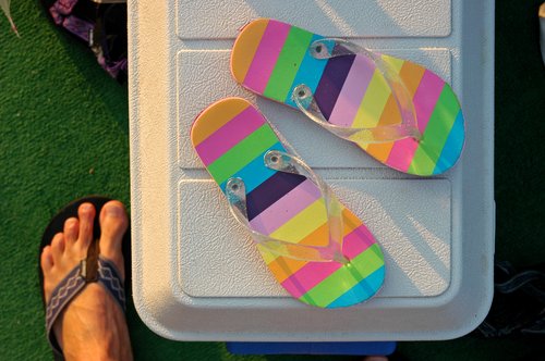 Flip Flops