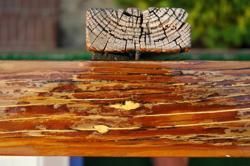 Polyurethaned Deck Railing