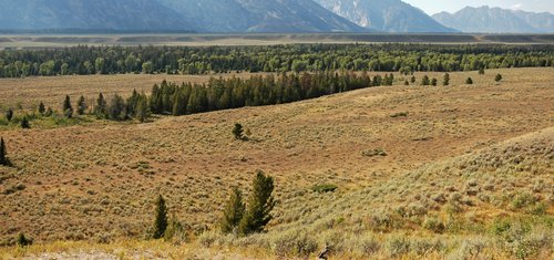 Snake River Plain Panorama