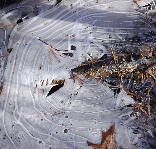 Ice forming concentric circles