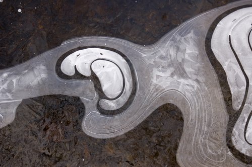 The Birth of Form