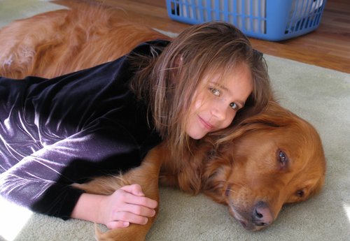 Photo of a Pet
