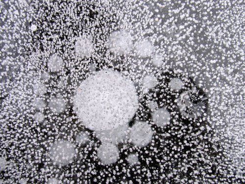 Tiny Bubbles