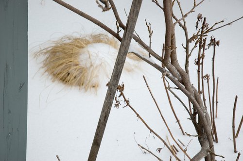 Valentines Day Snow Storm 2