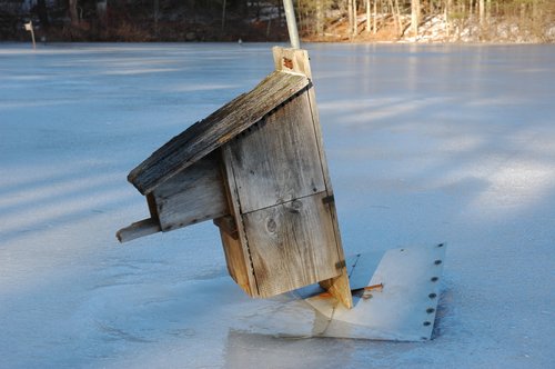 Bird House on Ice