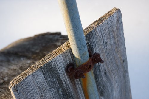 Bird House on Ice (Detail)