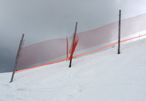 Orange Netting