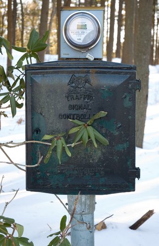 Traffic Controller in the Woods