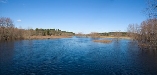 Early Spring