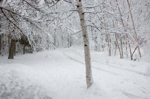 April Snow Storm