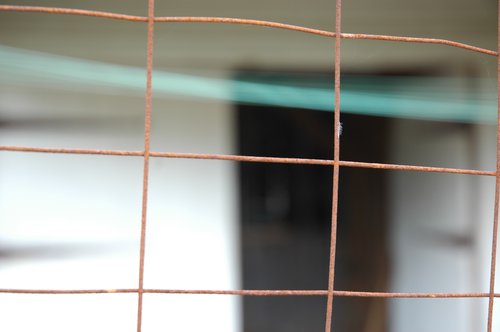 Rabbit Pen Fencing 1