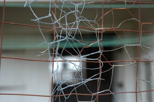 Rabbit Pen Fencing 2