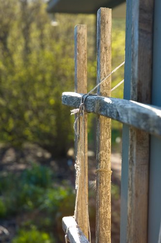 Vine Trellis