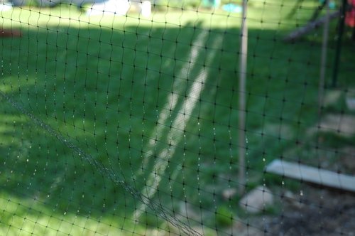 Black Plastic Netting