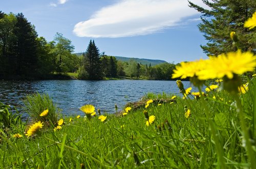 Green Mountain Pond