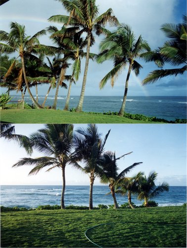 1994-North-Shore-Sheilas-Backyard